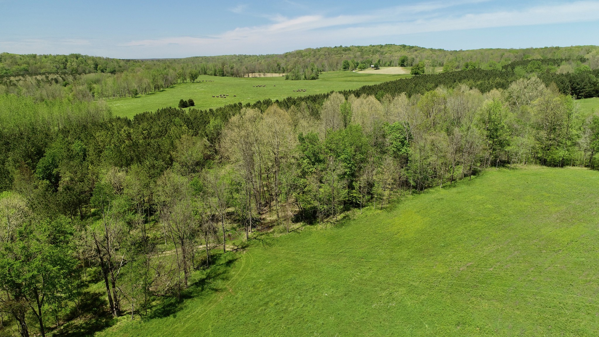 0 David Blue Road Summertown, TN 38483 - Photo 5 of 37 Gallery Image 5