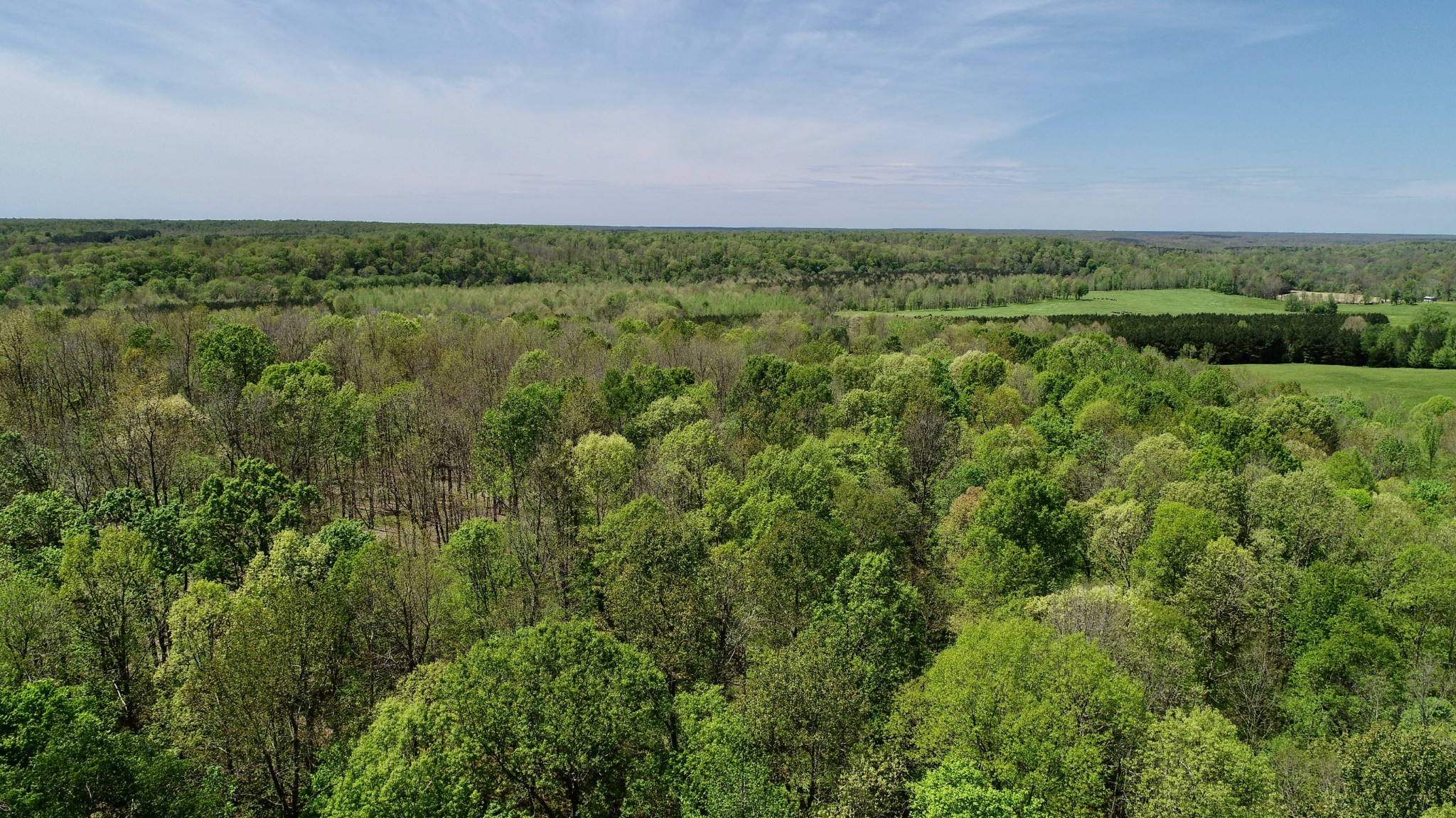0 David Blue Road Summertown, TN 38483 - Photo 7 of 37 Gallery Image 7