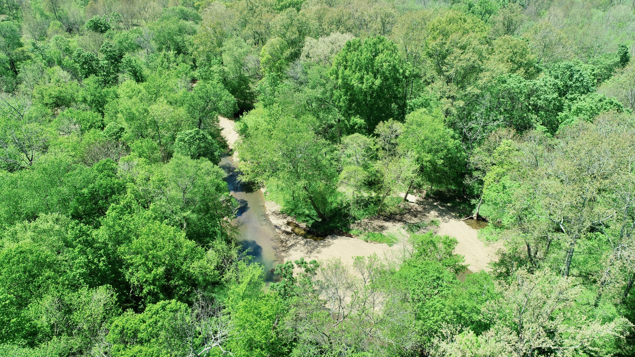 0 David Blue Road Summertown, TN 38483 - Photo 8 of 37 Gallery Image 8