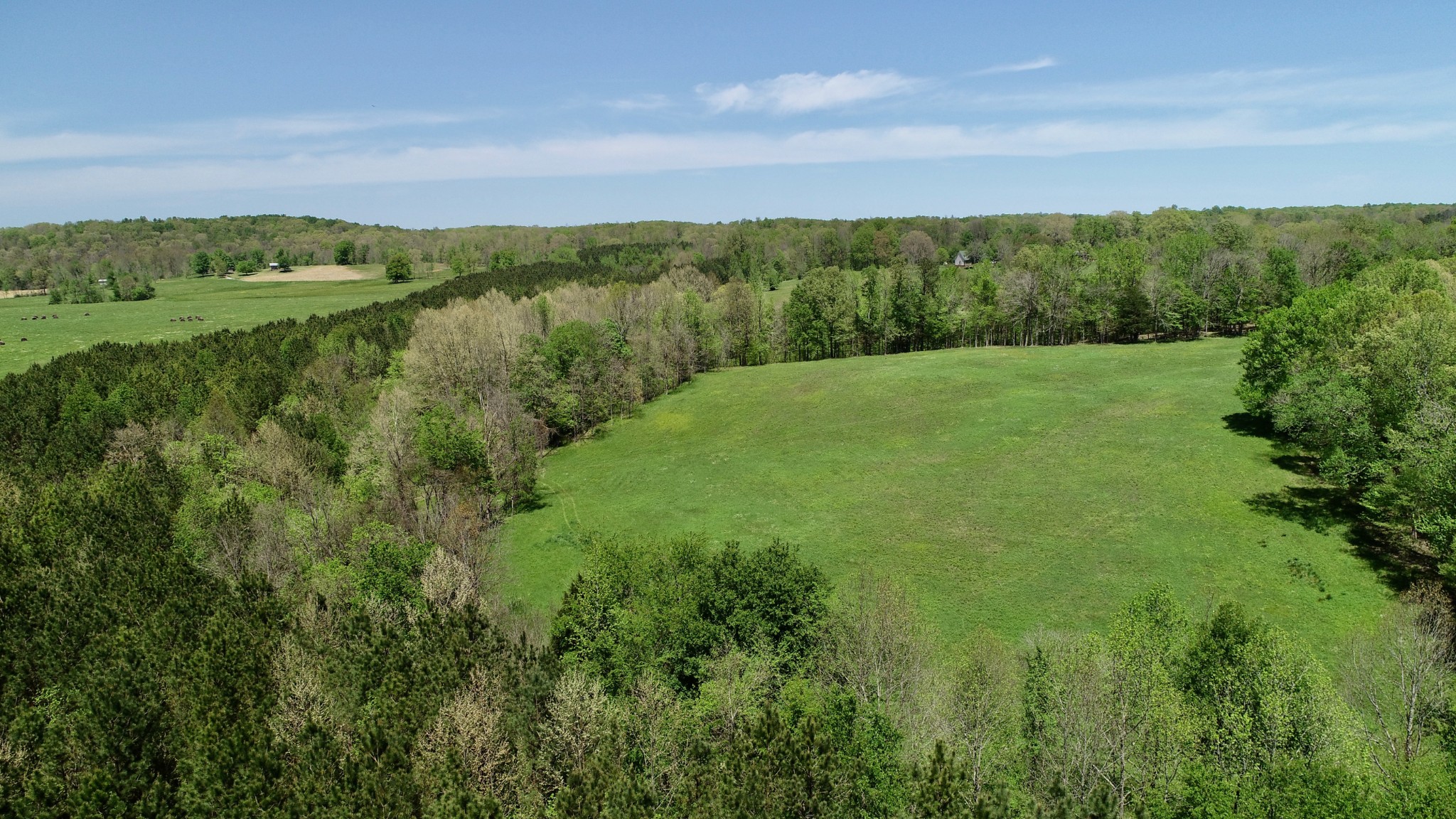 0 David Blue Road Summertown, TN 38483 - Photo 9 of 37 Gallery Image 9