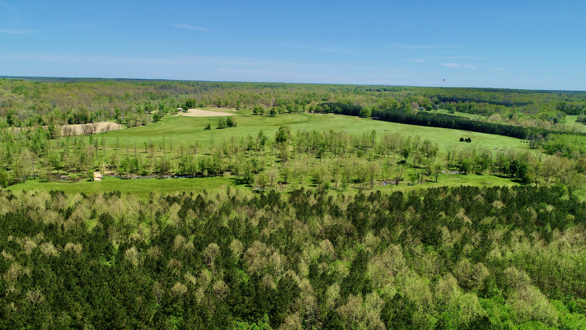 0 David Blue Road Summertown, TN 38483 - Photo 10 of 37 Gallery Image 10