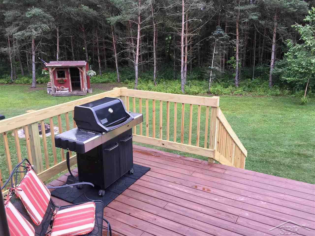 3733 South Fenmore Road Merrill, MI 48637 - Photo 27 of 38