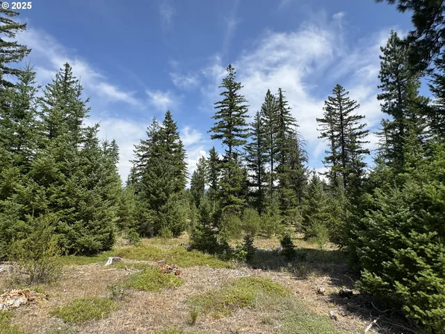 a view of outdoor space and yard