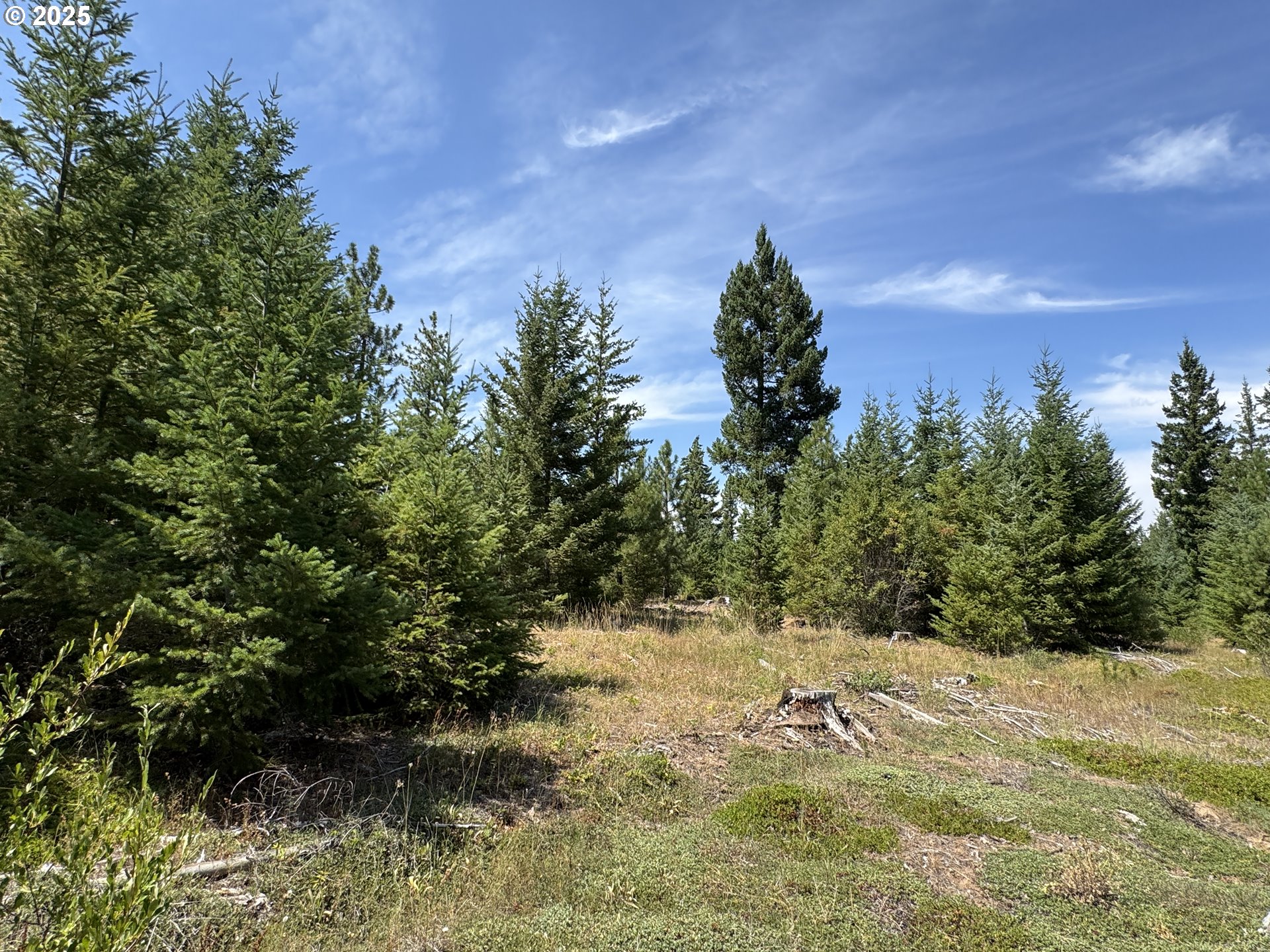0 Ranger Road Goldendale, WA 98620 - Photo 12 of 20 a view of a yard