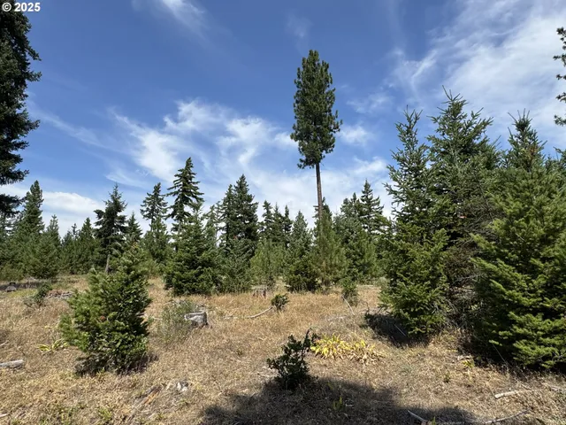 a view of outdoor space with mountain view