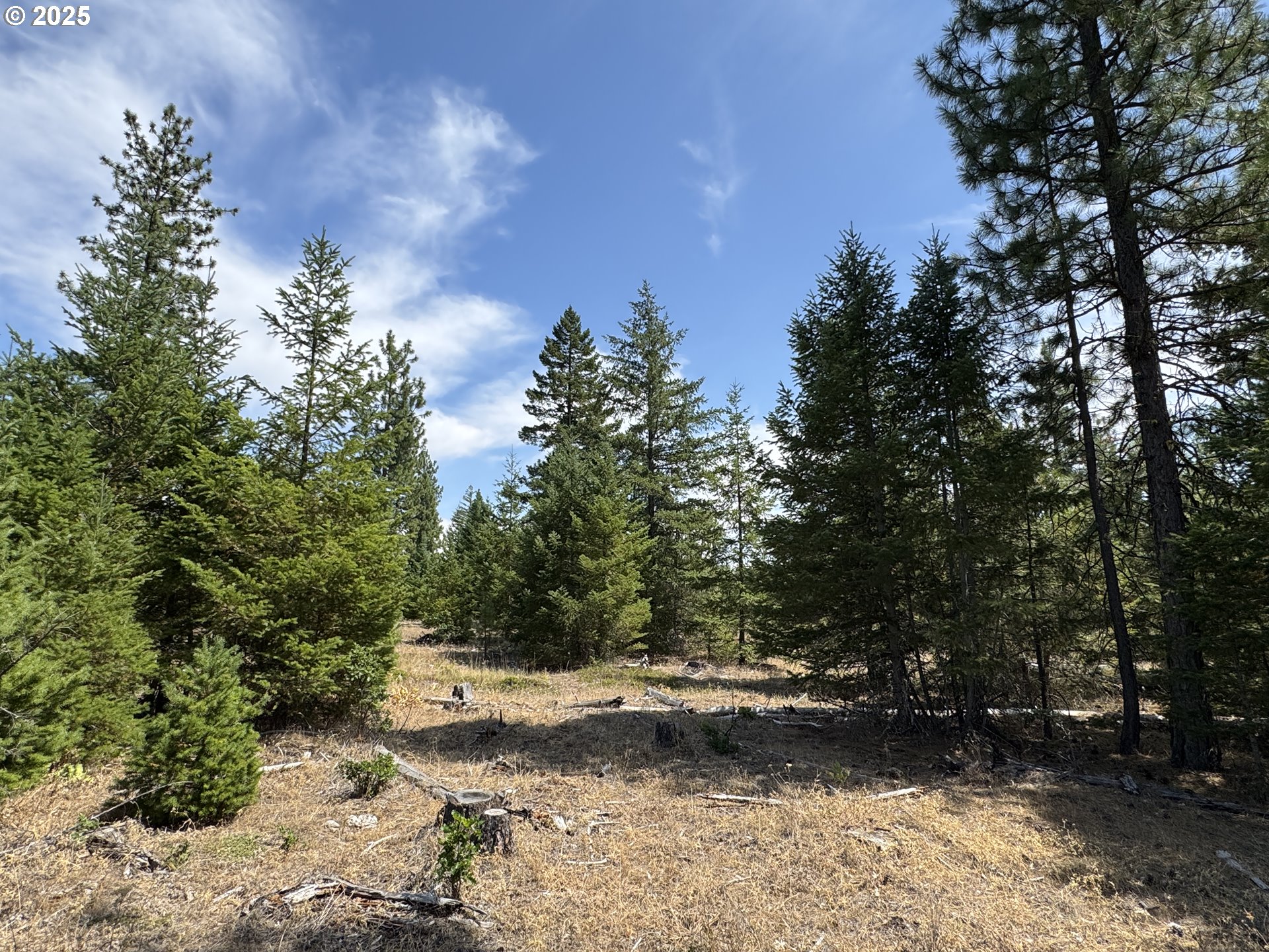 0 Ranger Road Goldendale, WA 98620 - Photo 14 of 20 a view of outdoor space with mountain view