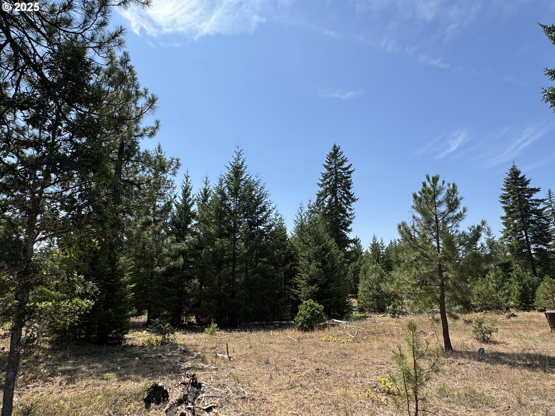 0 Ranger Road Goldendale, WA 98620 - Photo 15 of 20 a view of snow covered with trees