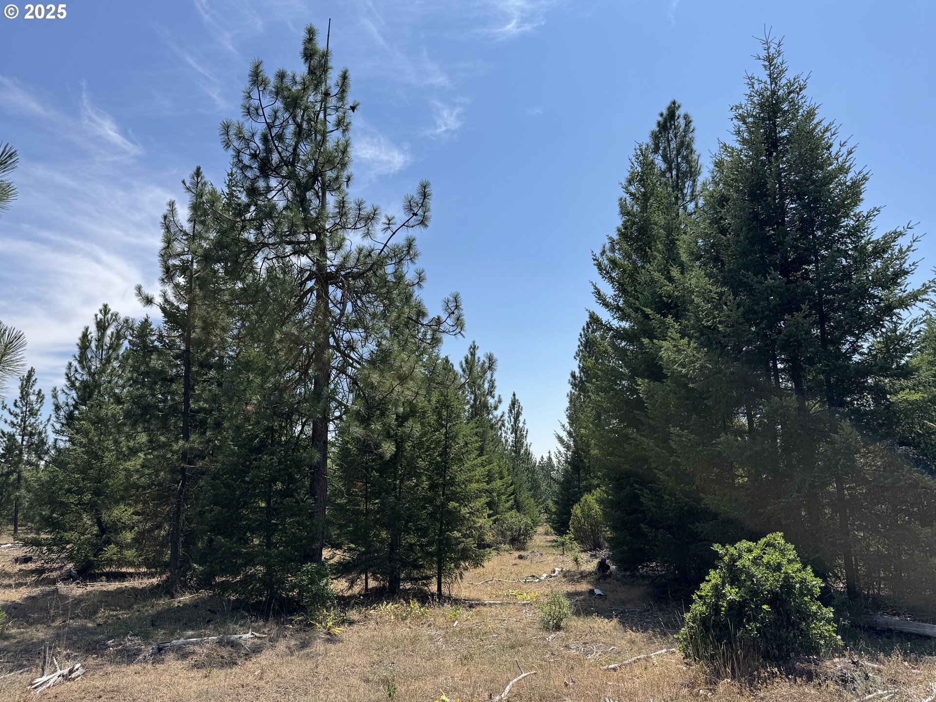 0 Ranger Road Goldendale, WA 98620 - Photo 16 of 20 a view of an outdoor space with a house