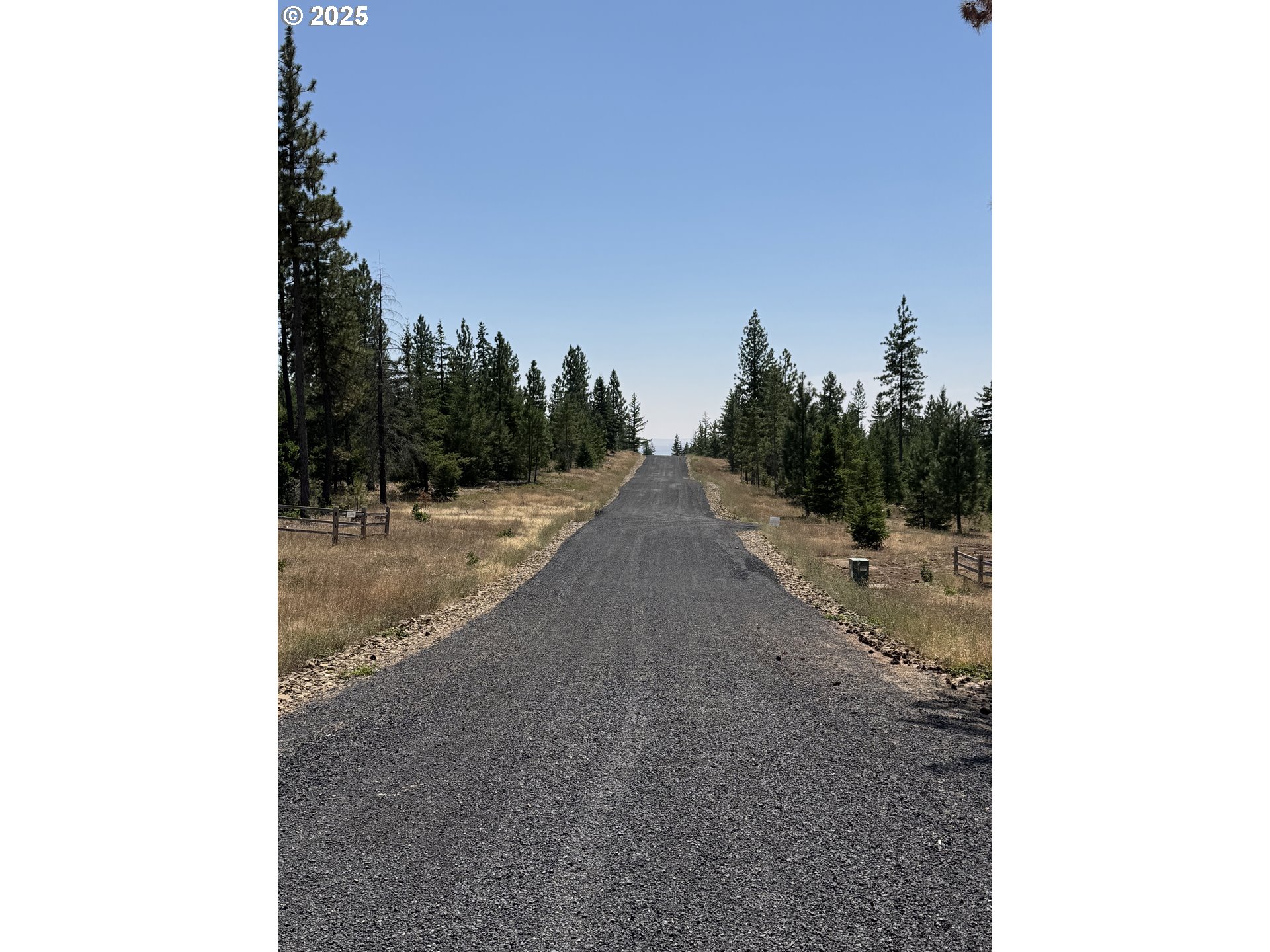 0 Ranger Road Goldendale, WA 98620 - Photo 18 of 20 a view of a dry yard with a tree