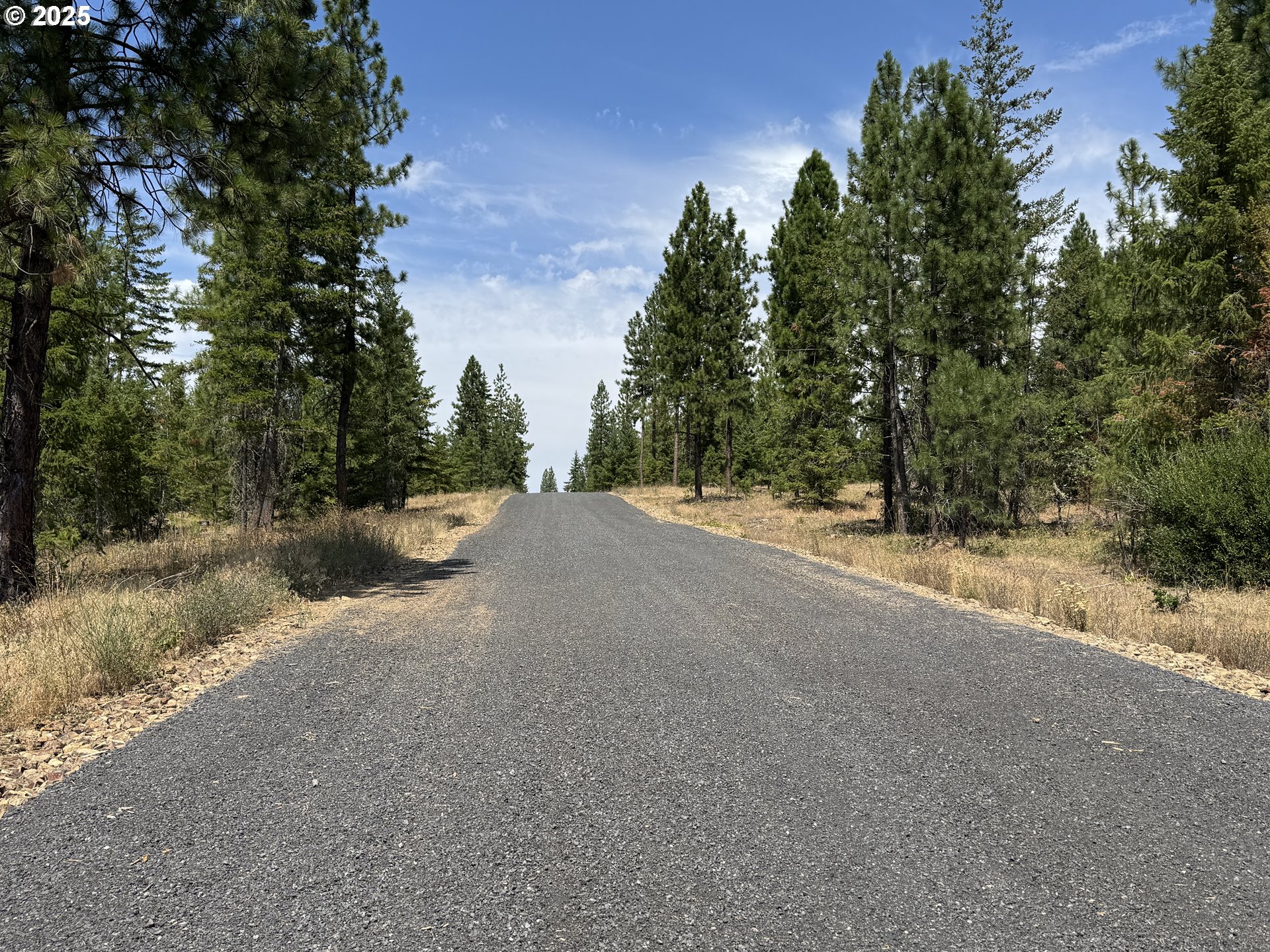 0 Ranger Road Goldendale, WA 98620 - Photo 19 of 20 a view of a forest with trees in the background