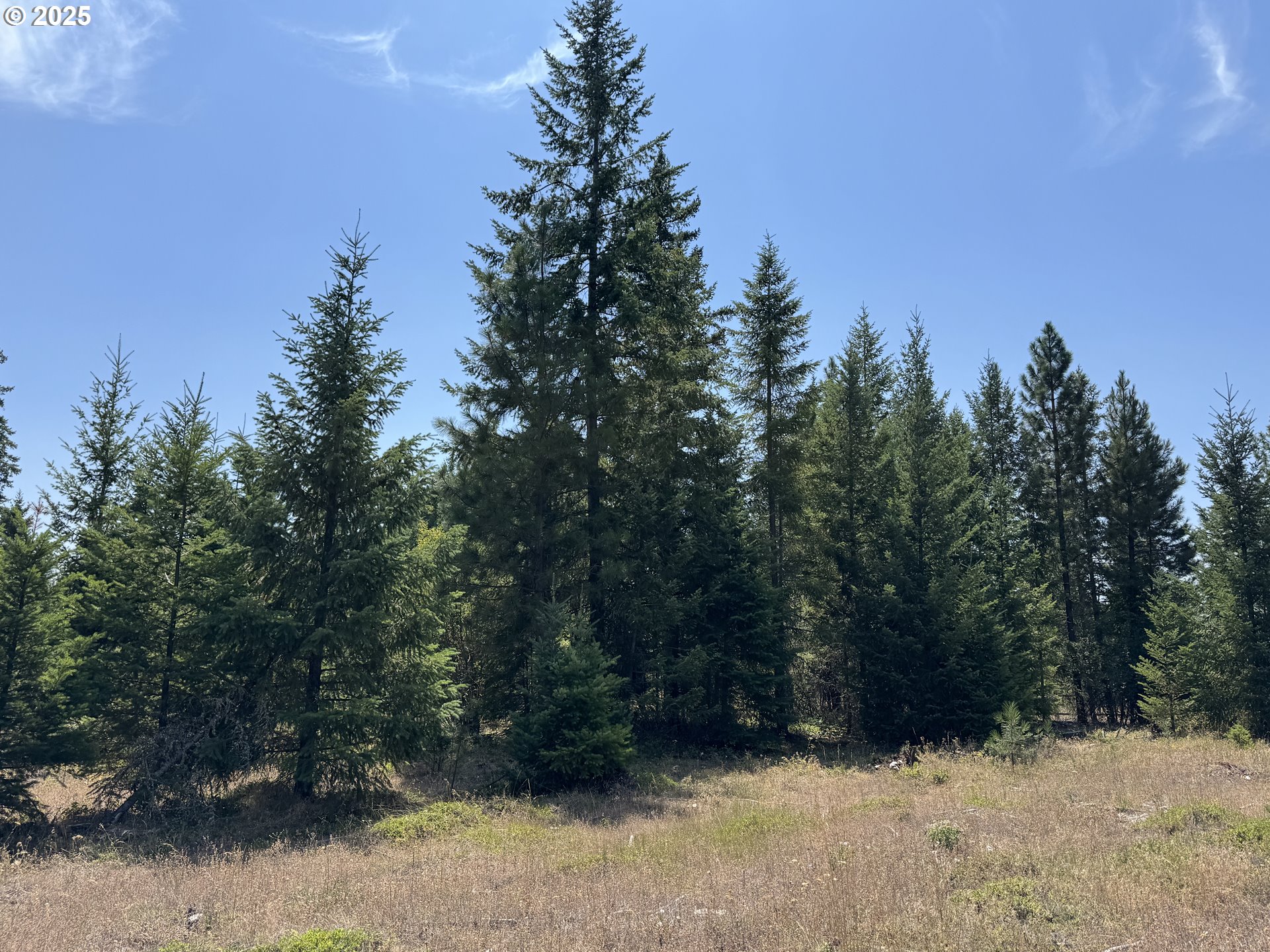 0 Ranger Road Goldendale, WA 98620 - Photo 6 of 20 a view of outdoor space and yard