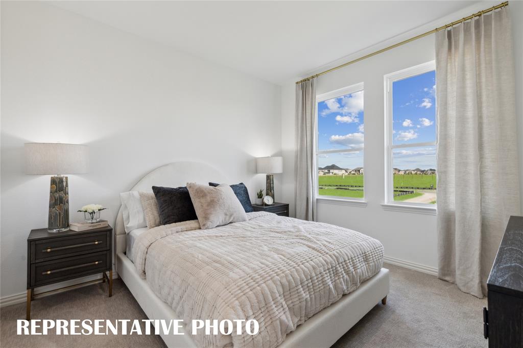 1303 Rooted Road Frisco, TX 75033 - Photo 14 of 14 a bedroom with a bed and a window