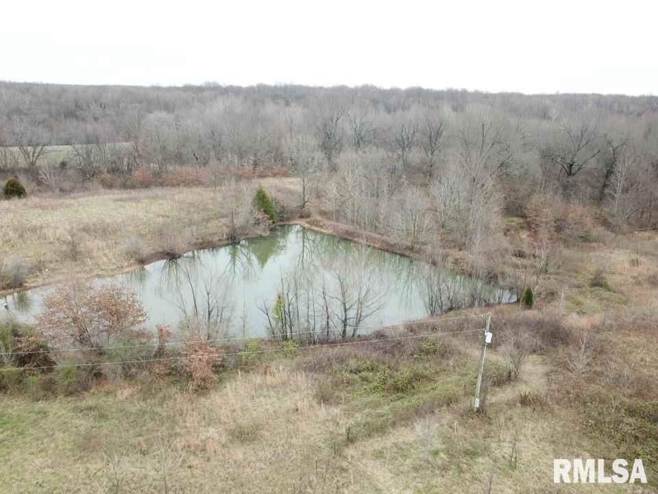 2258 Hogendobler Road Villa Ridge, IL 62996 - Photo 1 of 4