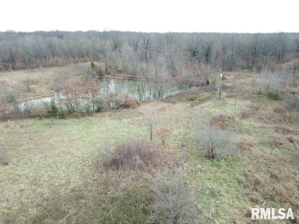 2258 Hogendobler Road Villa Ridge, IL 62996 - Photo 2 of 4