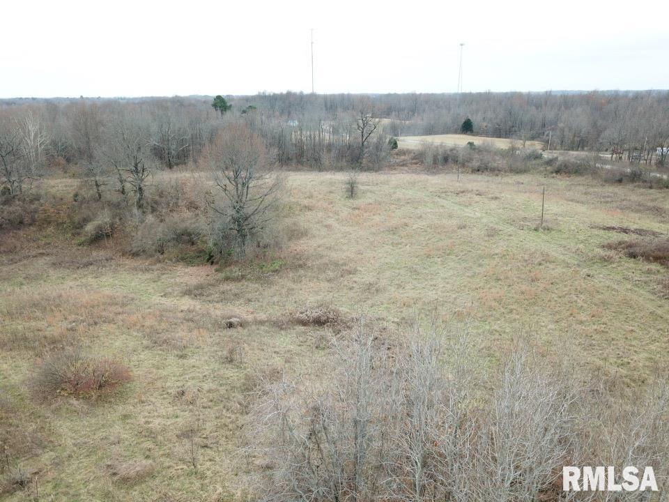 2258 Hogendobler Road Villa Ridge, IL 62996 - Photo 4 of 4