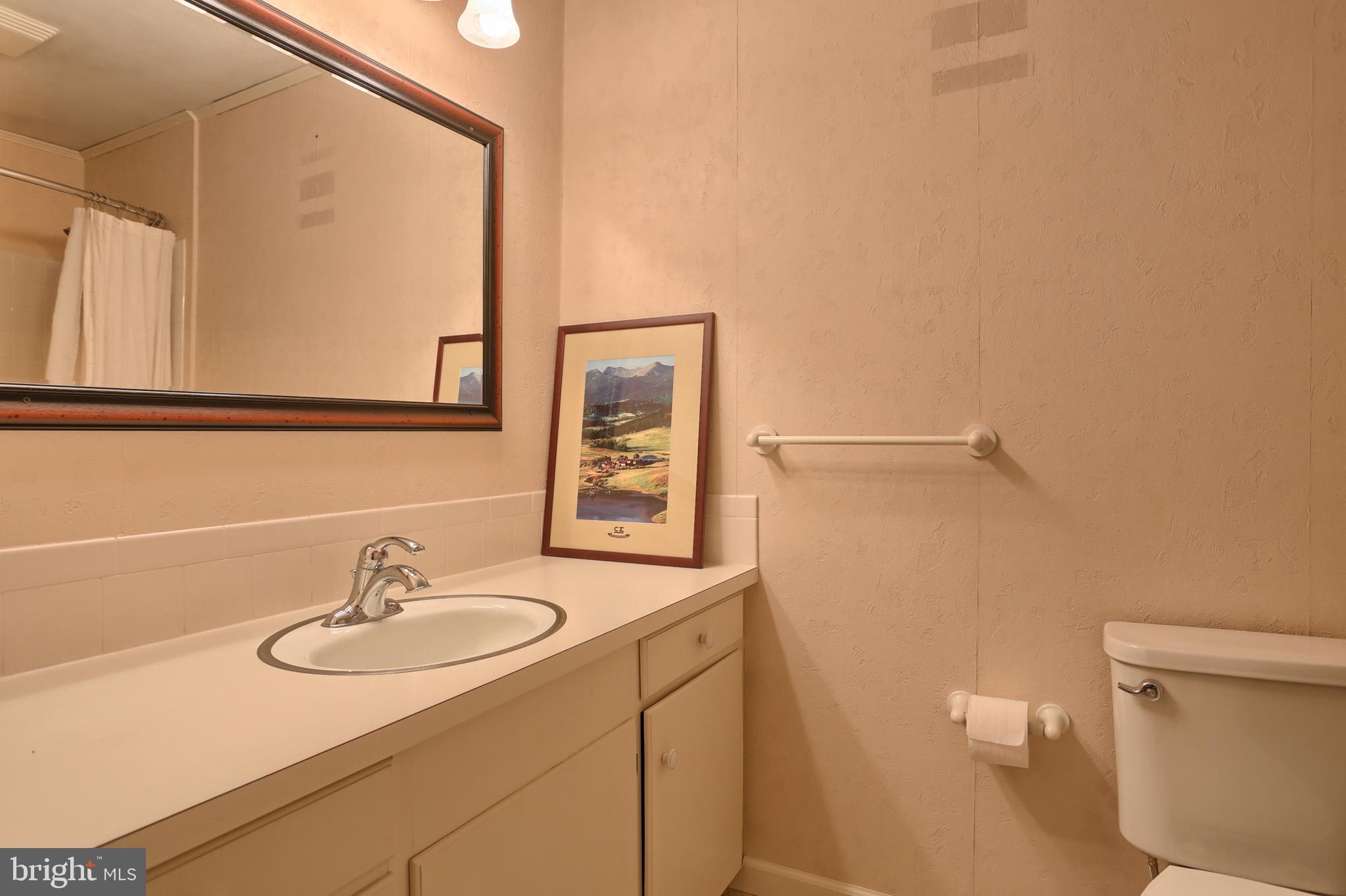 49 North Cornwall Road Lebanon, PA 17042 - Photo 45 of 90 Hall bath on upper level