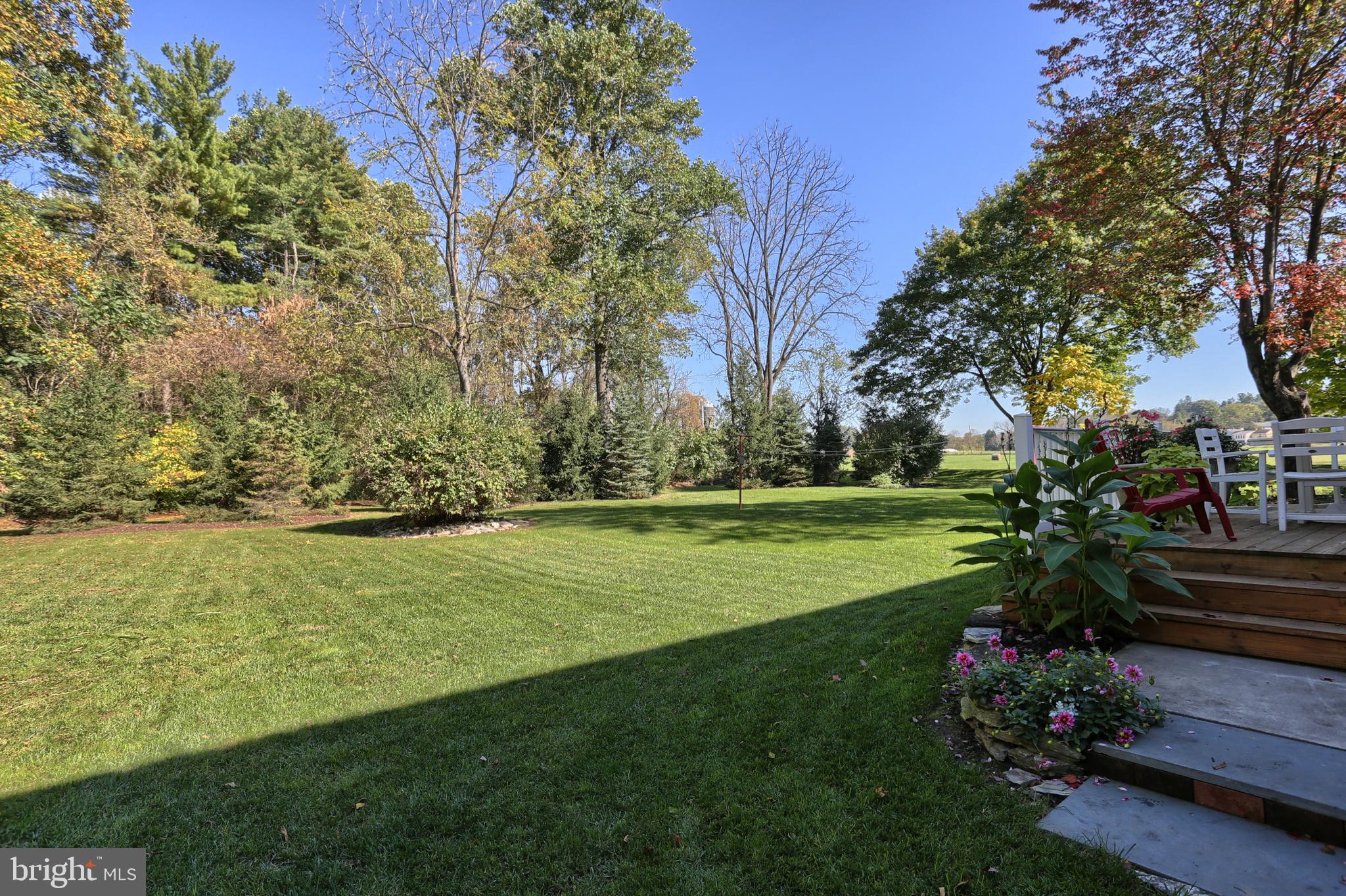 49 North Cornwall Road Lebanon, PA 17042 - Photo 58 of 90 Level back yard