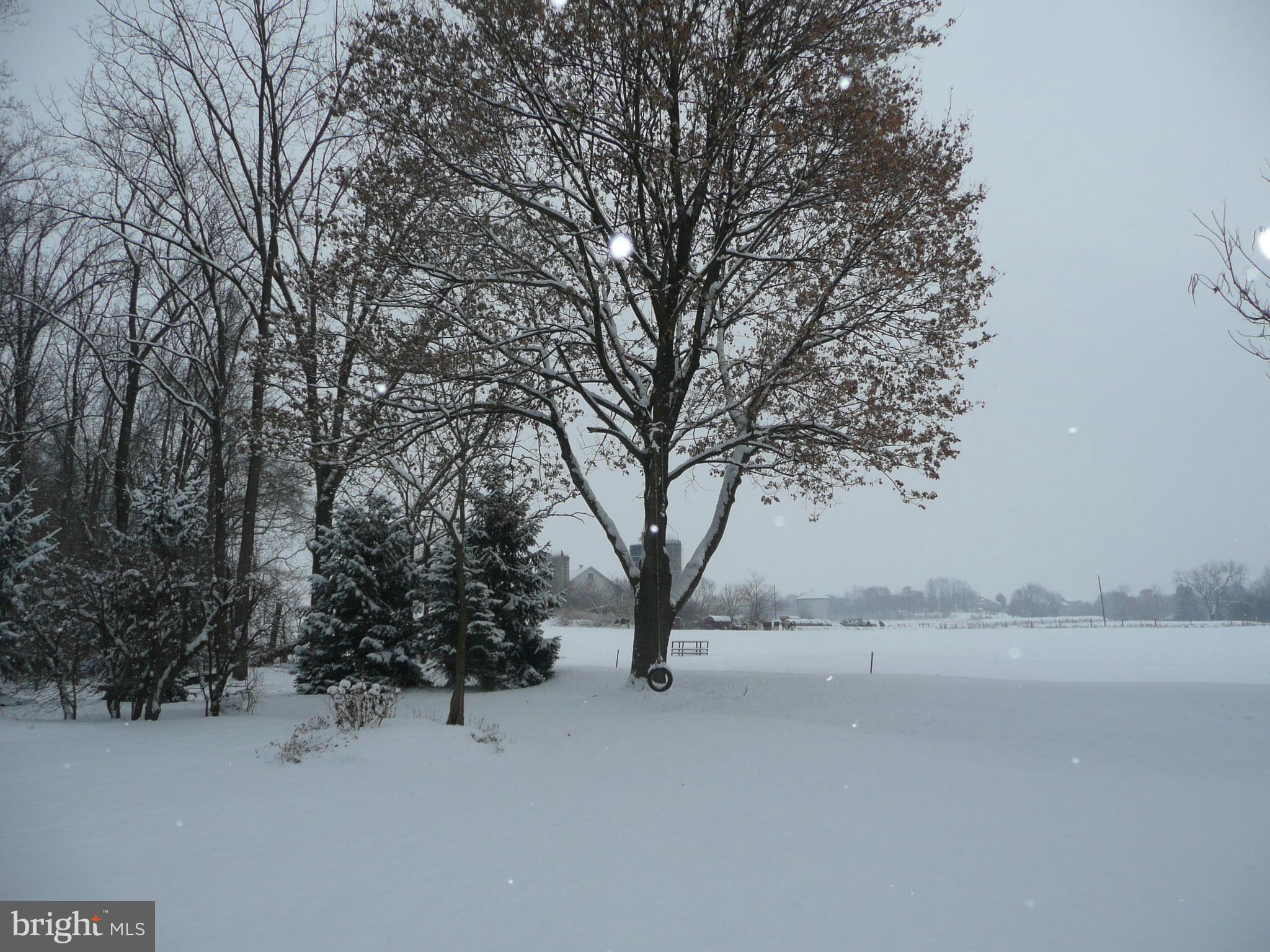 49 North Cornwall Road Lebanon, PA 17042 - Photo 85 of 90 Winter