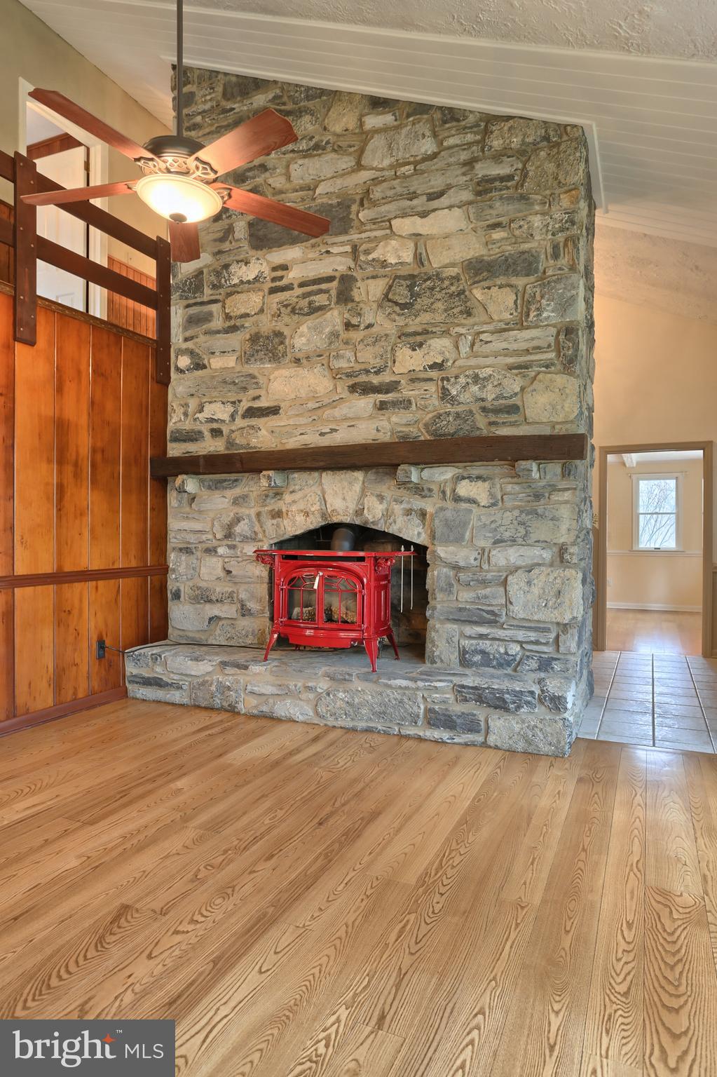 49 North Cornwall Road Lebanon, PA 17042 - Photo 10 of 90 Grand stone fireplace with propane stove insert