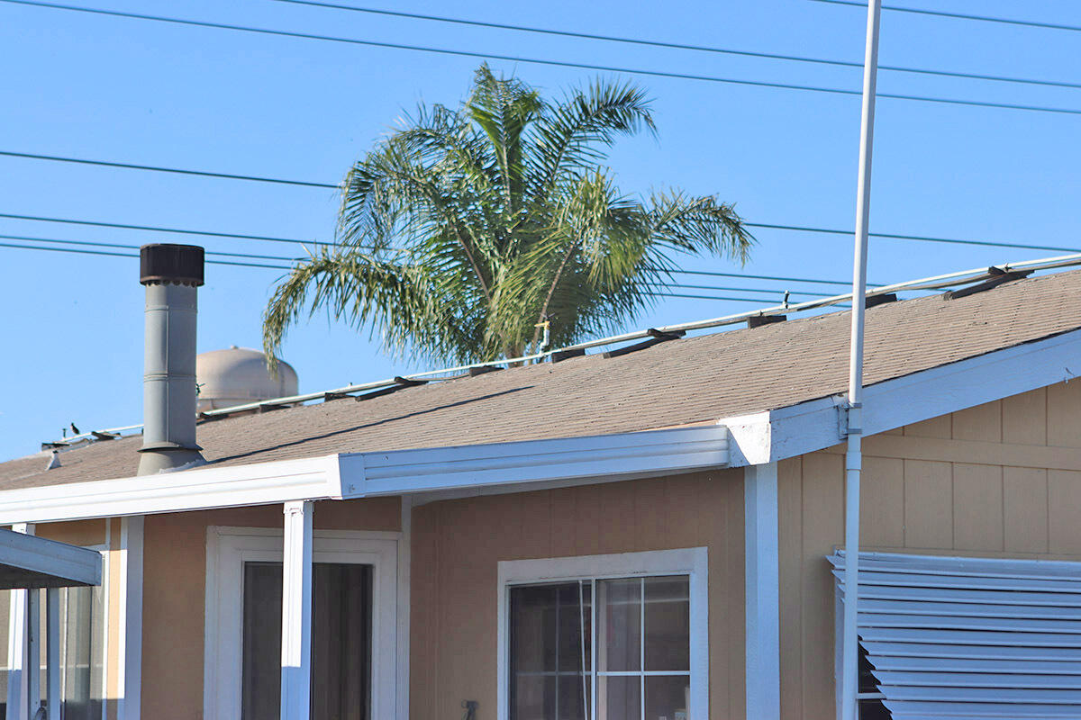 10001 West Frontage Road South Gate, CA 90280 - Photo 26 of 34 a potted plant sitting on the side of a building