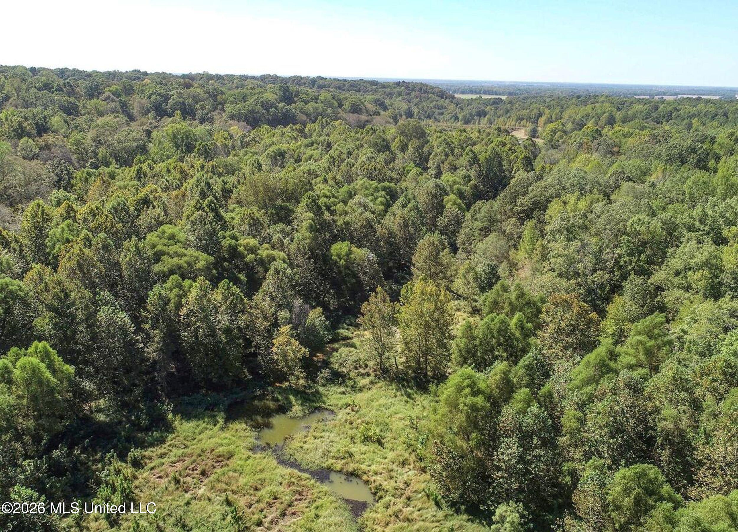 173 Cascilla Road Holcomb, MS 38940 - Photo 21 of 67 3csrdg15