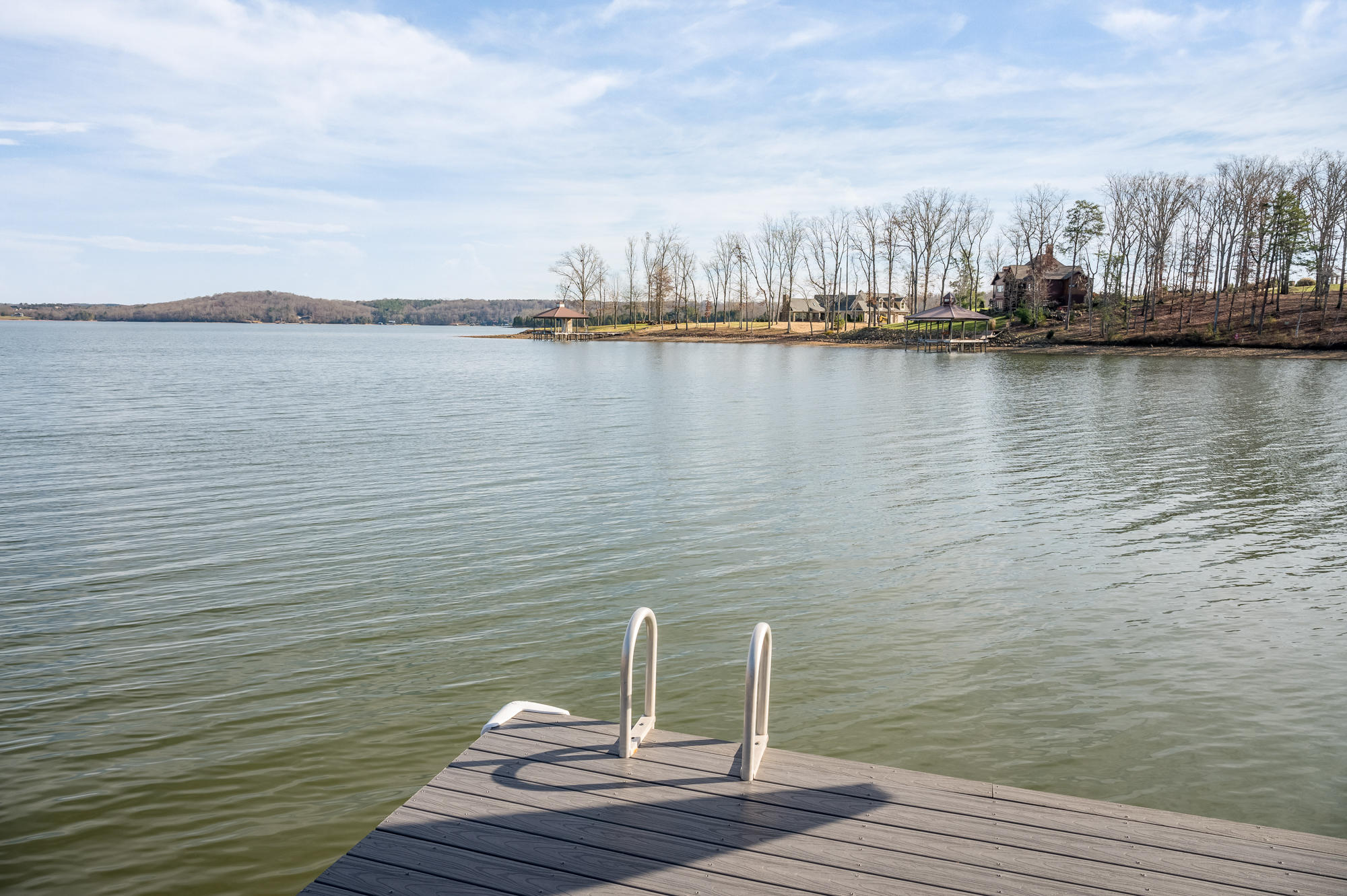 596 Lake Harbor Dr Spring Spring City, TN 37381 - Photo 13 of 71 596_Lake_Harbor_Dr_0035