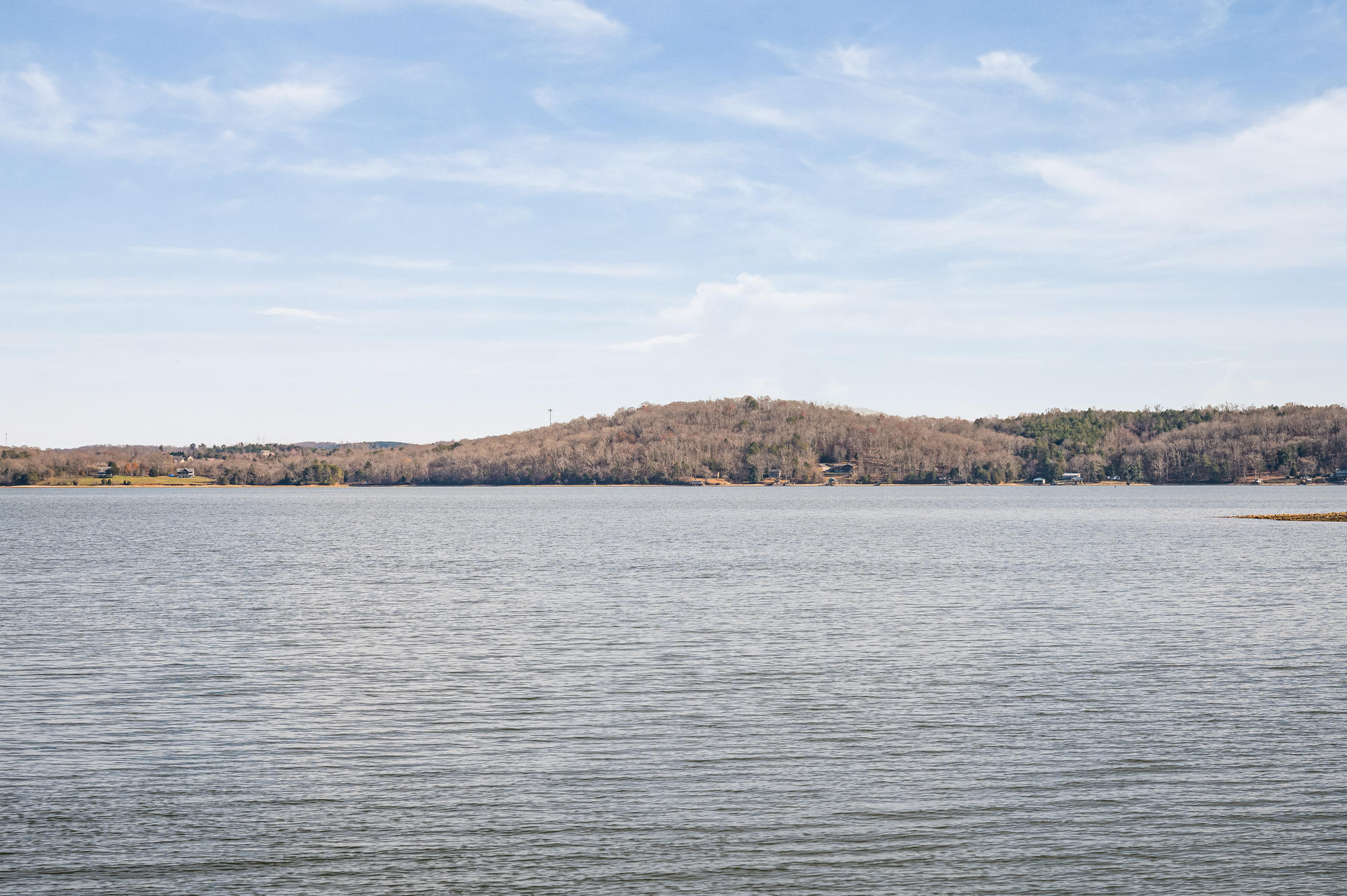 596 Lake Harbor Dr Spring Spring City, TN 37381 - Photo 31 of 71 596_Lake_Harbor_Dr_0036