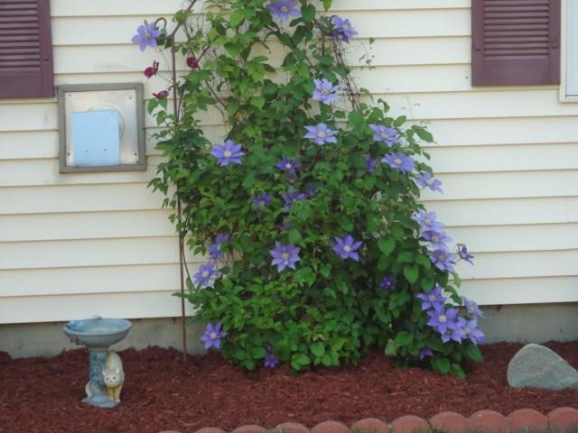 4 Stacy Street Saco, ME 04072 - Photo 24 of 32 Photo