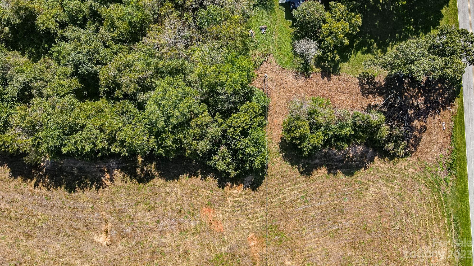 Lot 1 Woolie Road Lincolnton, NC 28092 - Photo 18 of 25 a view of a yard with plants and trees