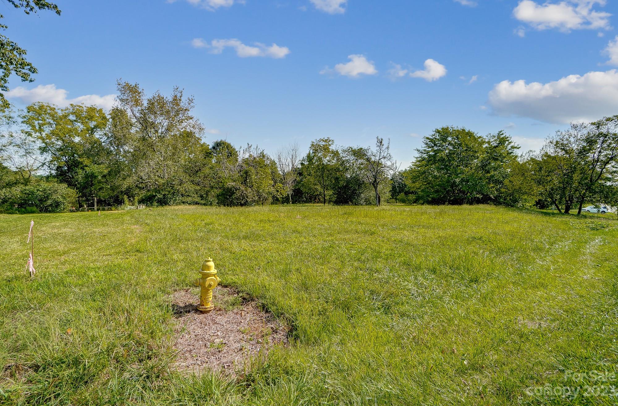 Lot 1 Woolie Road Lincolnton, NC 28092 - Photo 5 of 25 a view of a field with an ocean view