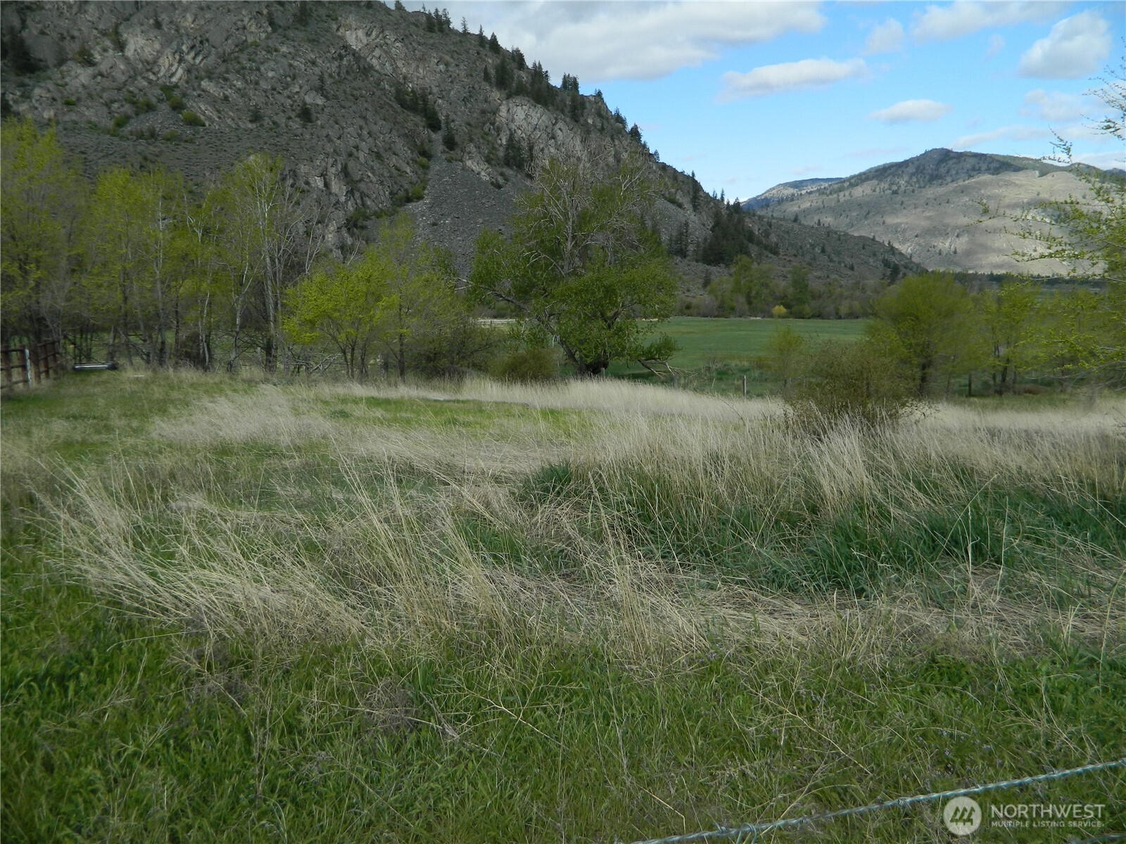 2127 Sinlahekin Road Loomis, WA 98827 - Photo 21 of 24 a view of a lush green forest with lots of trees