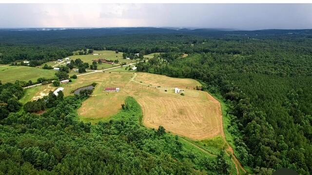 21638 Co Road Addison, AL 35540 - Photo 1 of 3 IMG_1361 (1)