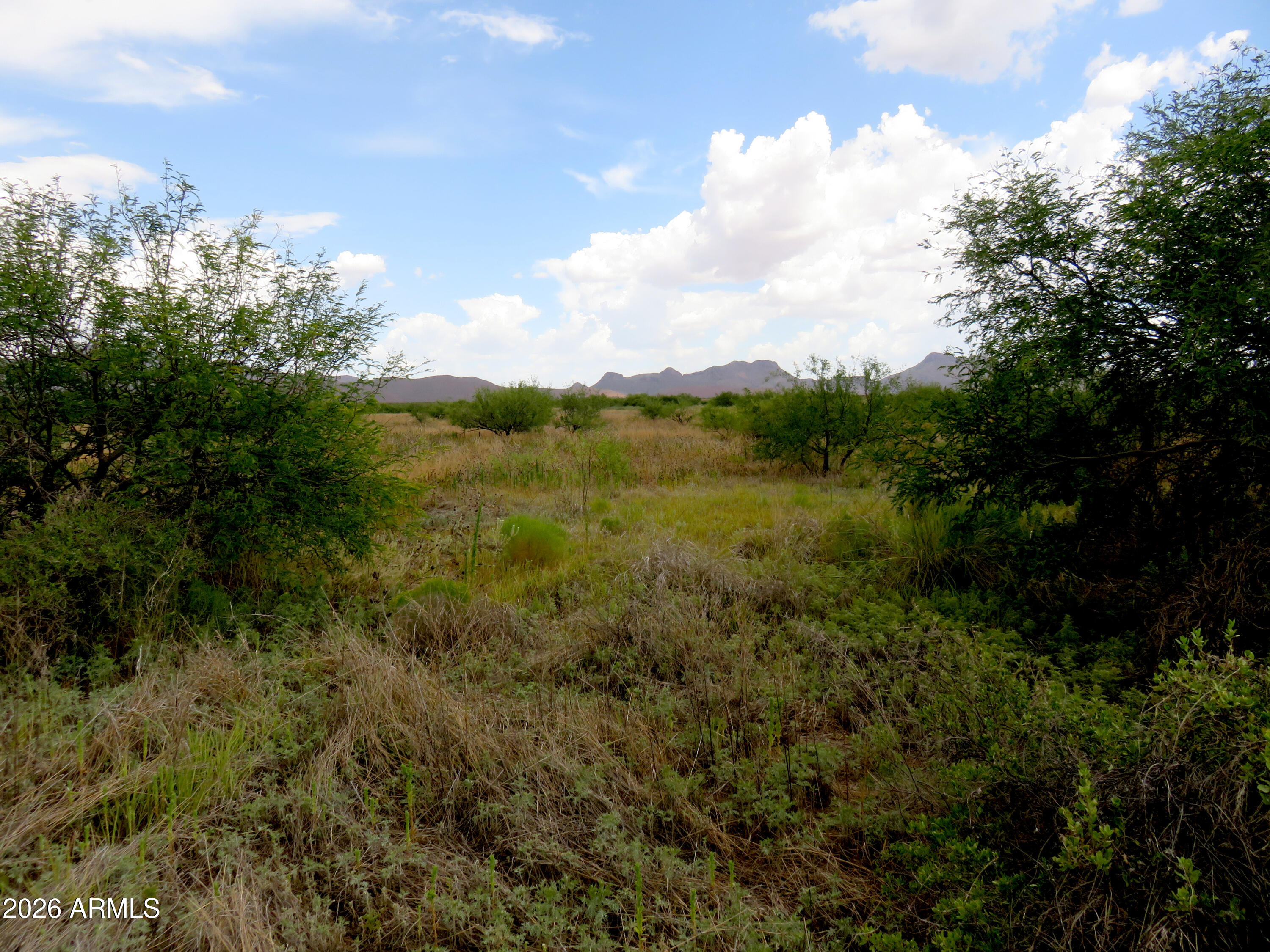 Tbd North Hermosillo Road, Unit 174 Douglas, AZ 85607 - Photo 6 of 10 Hermosillo 6