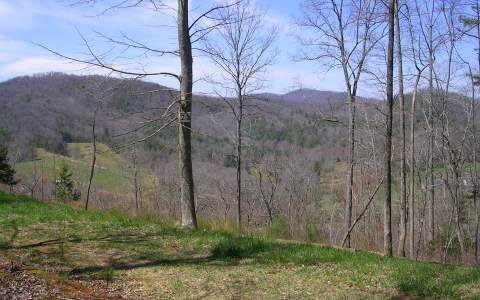 Self Mountain Road Morganton, GA 30560 - Photo 1 of 1 Main View