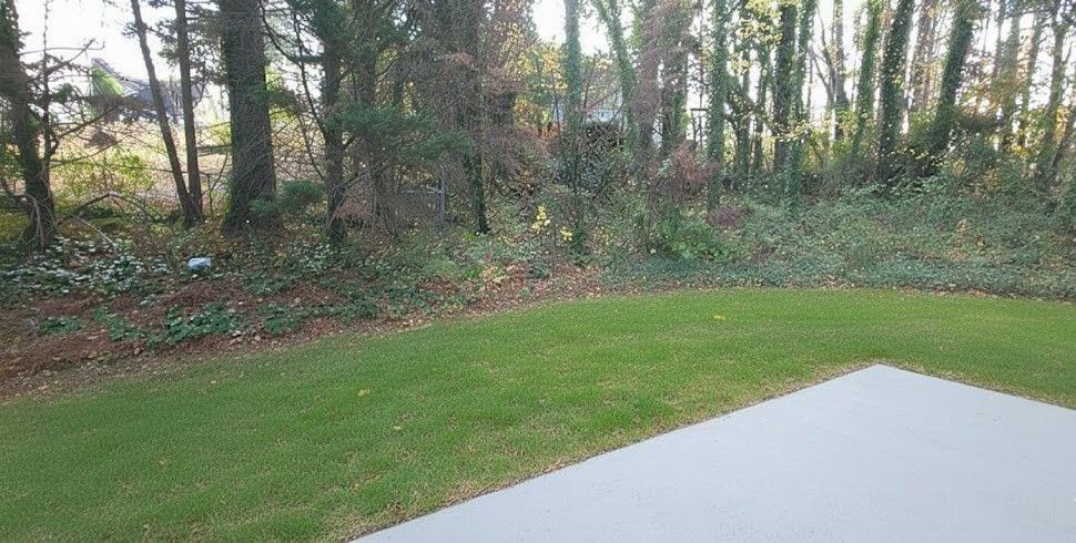 984 Pointers Way Lawrenceville, GA 30043 - Photo 19 of 20 a view of a yard with a trees