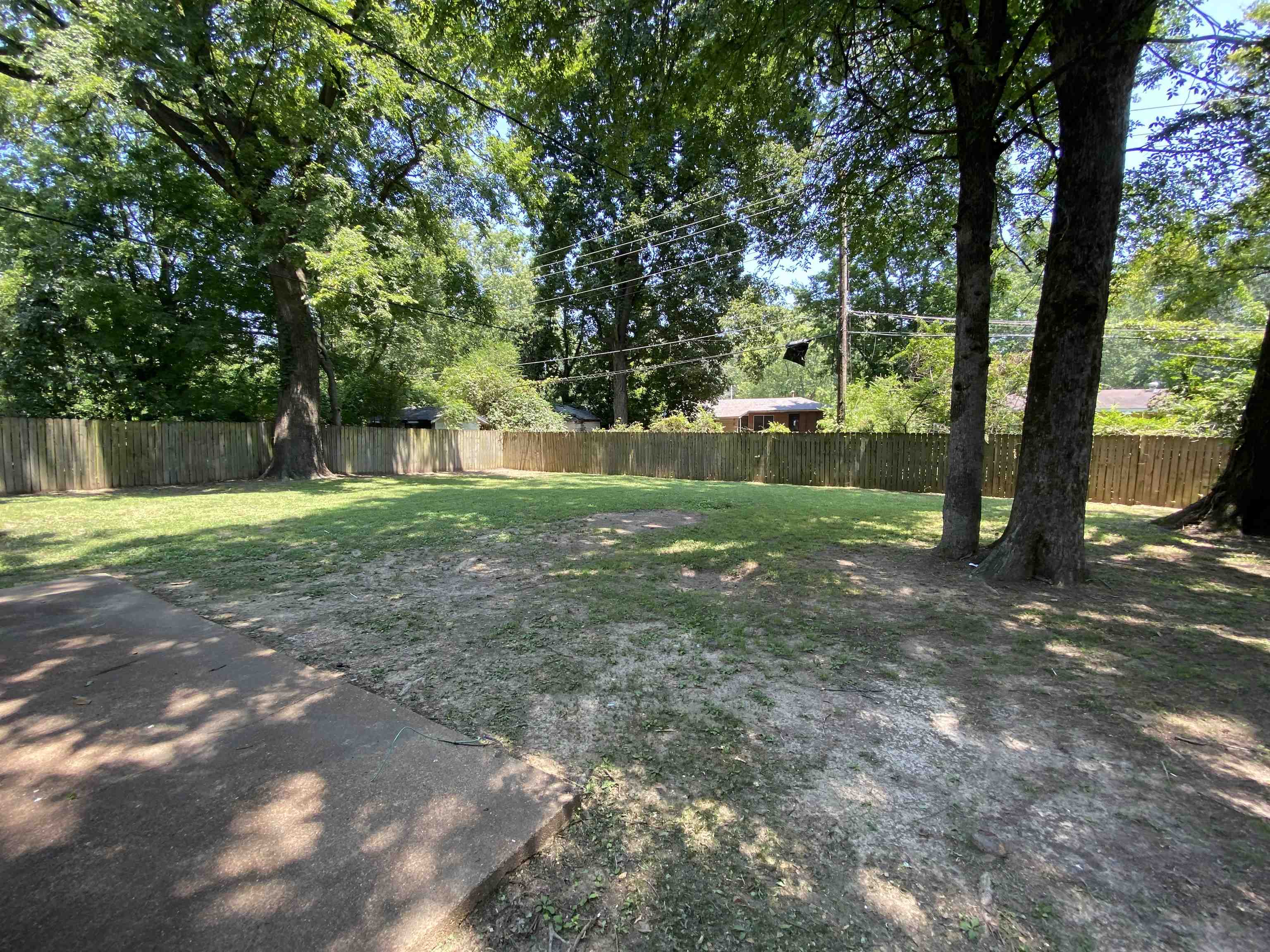 5462 Haleville Road Memphis, TN 38116 - Photo 2 of 7 a view of a tree in a yard