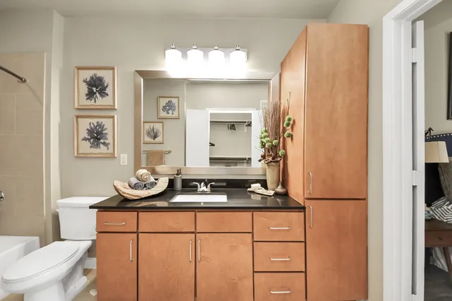 $1,175 | 5455 Richmond Avenue, Unit 4090, Houston, TX 77056