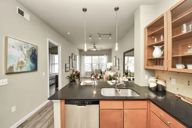 $1,175 | 5455 Richmond Avenue, Unit 4090, Houston, TX 77056