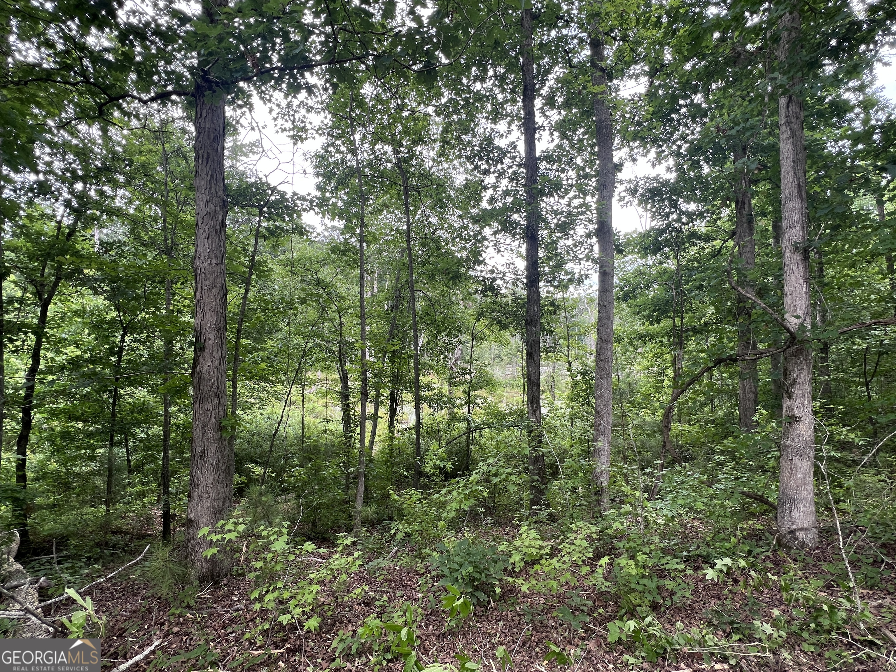 0 Bethlehem Church Road Grantville, GA 30220 - Photo 21 of 22