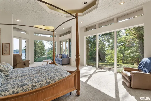 a view of a yard with plants and trees