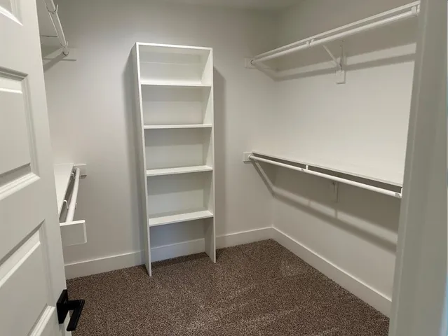 a bathroom with a shower and sink