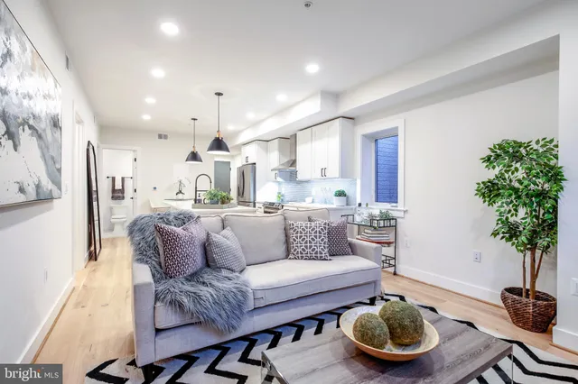 a living room with furniture and a potted plant