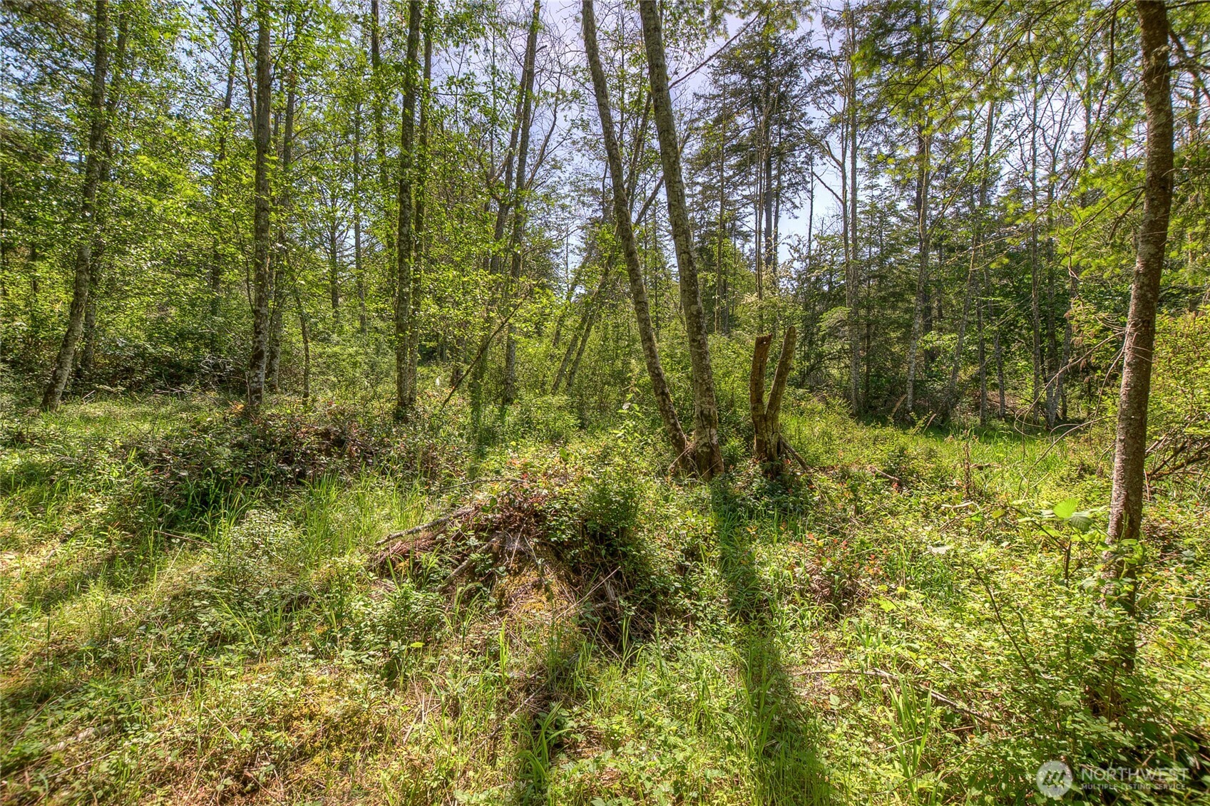 -lot B Lot B Spring Point Road Deer Harbor, WA 98243 - Photo 13 of 40