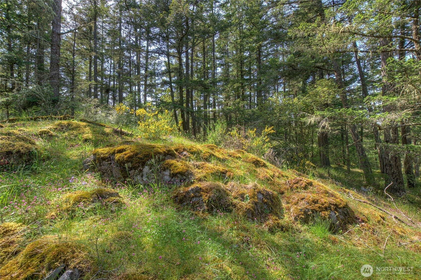 -lot B Lot B Spring Point Road Deer Harbor, WA 98243 - Photo 19 of 40 a view of lake view