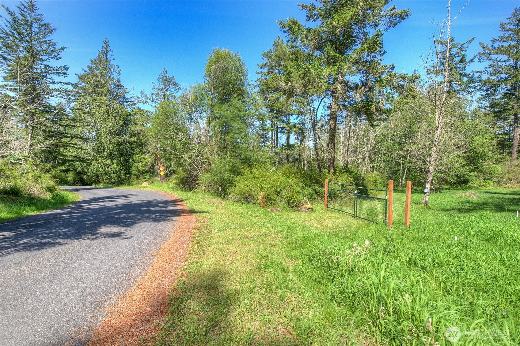 -lot B Lot B Spring Point Road Deer Harbor, WA 98243 - Photo 2 of 40 a backyard of a house with lots of green space