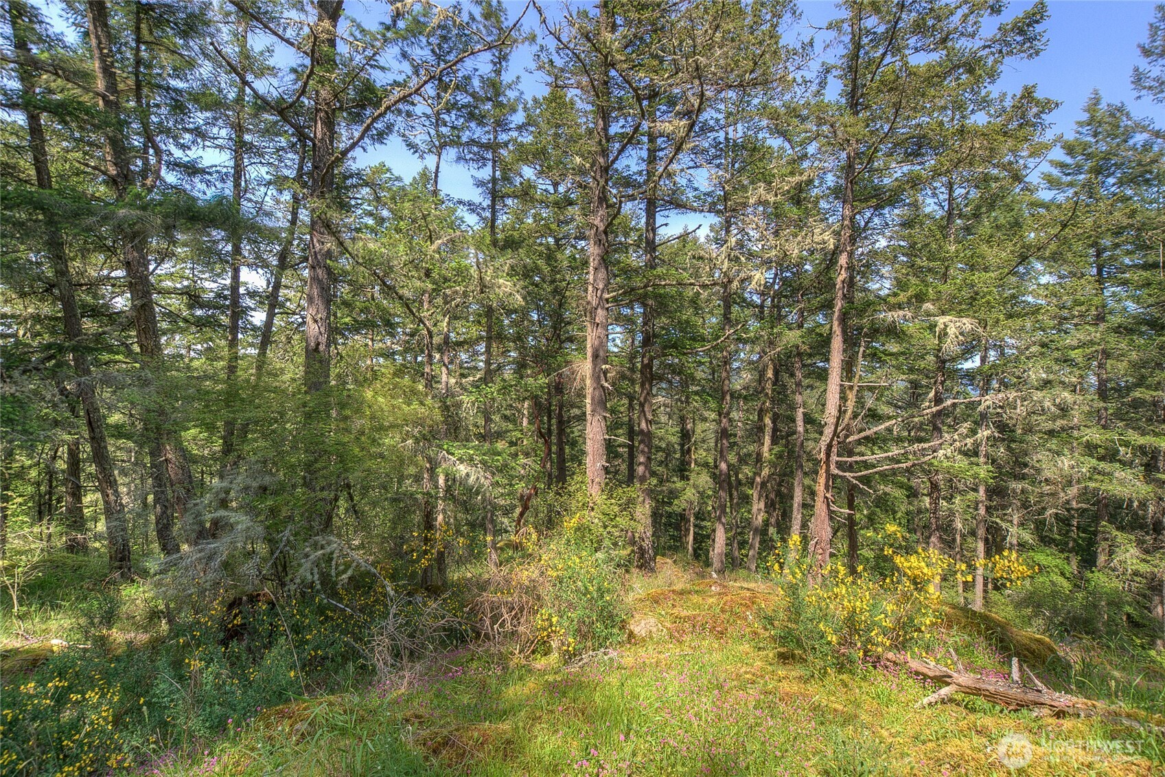 -lot B Lot B Spring Point Road Deer Harbor, WA 98243 - Photo 21 of 40 a view of residential house with green space