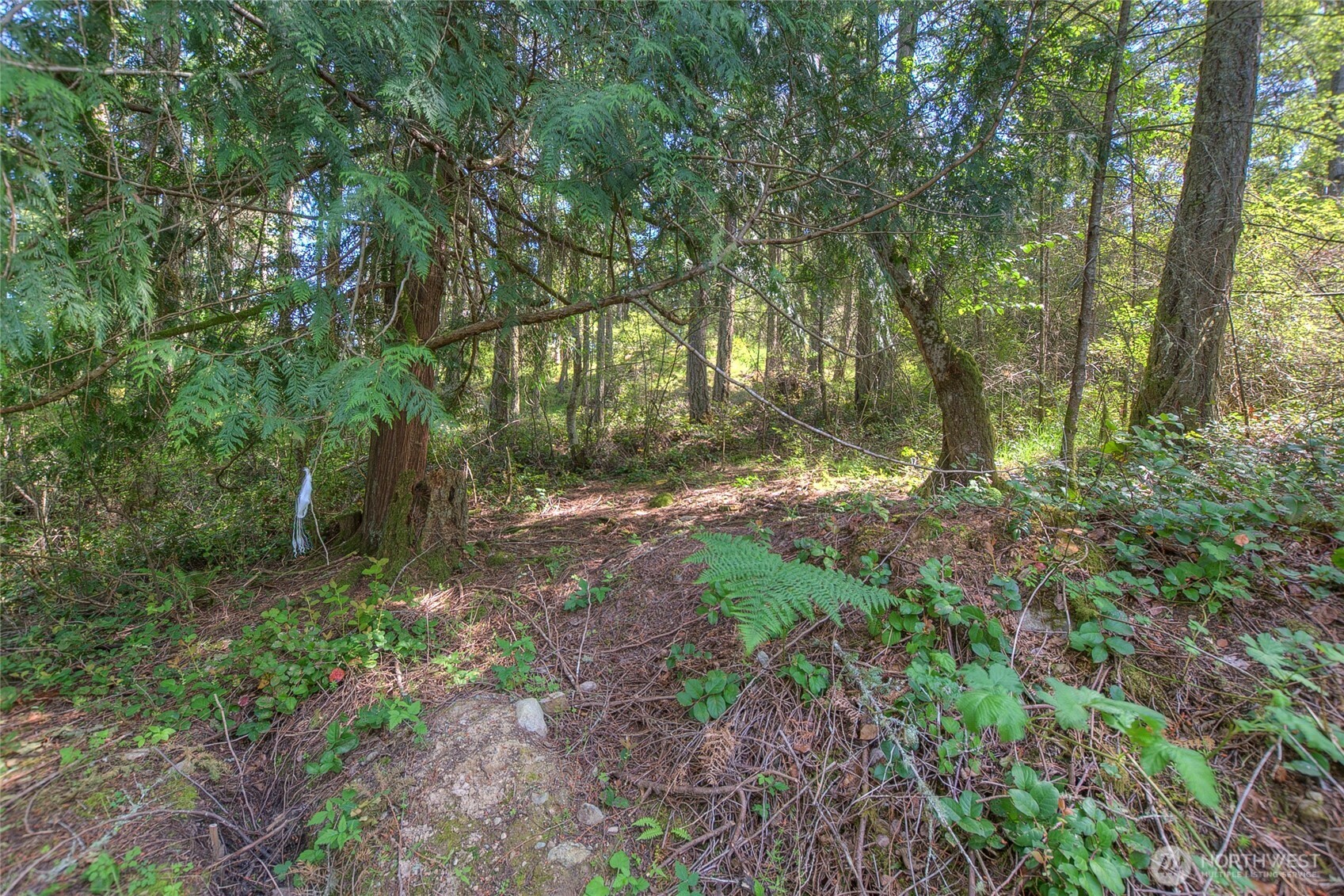 -lot B Lot B Spring Point Road Deer Harbor, WA 98243 - Photo 26 of 40 a big yard with lots of green space and house