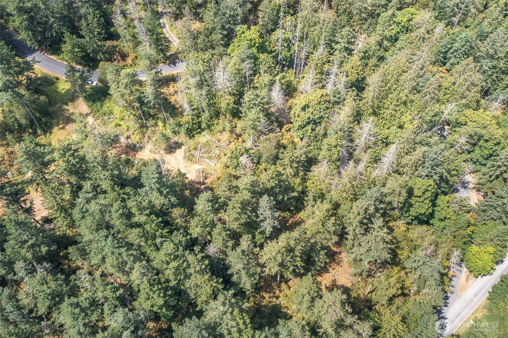 -lot B Lot B Spring Point Road Deer Harbor, WA 98243 - Photo 28 of 40 a view of a tree