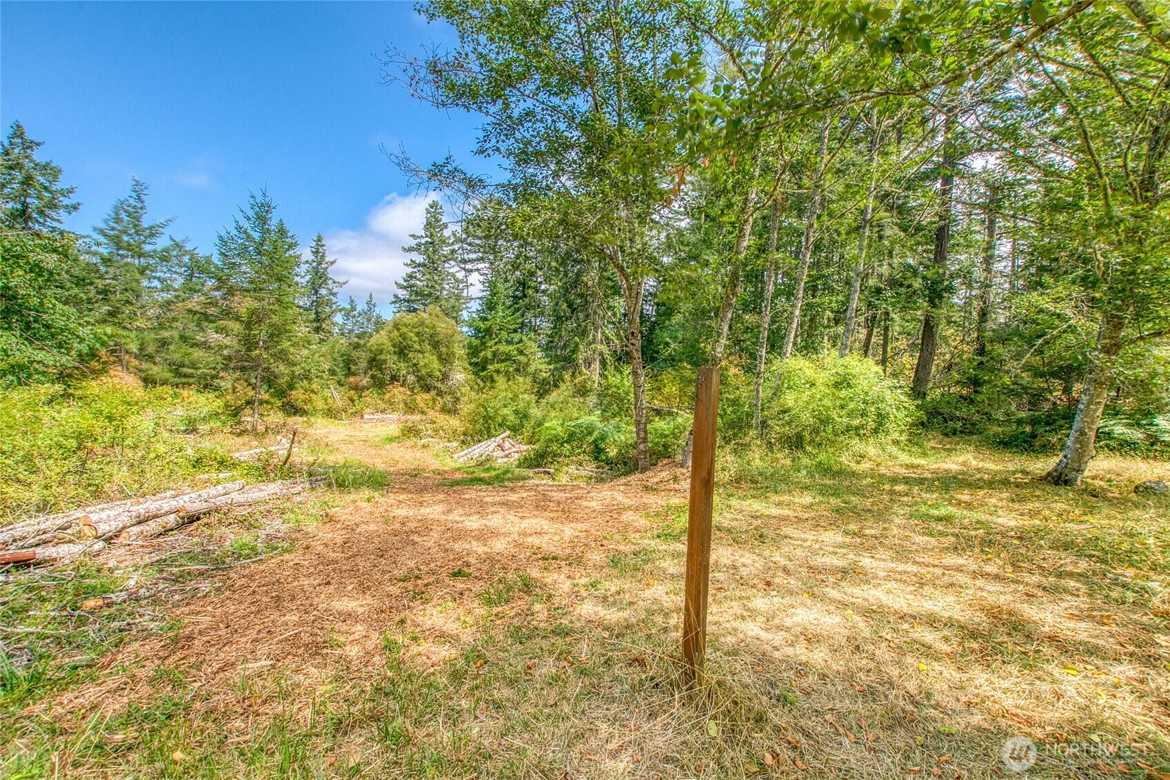 -lot B Lot B Spring Point Road Deer Harbor, WA 98243 - Photo 3 of 40 a view of a yard with an trees