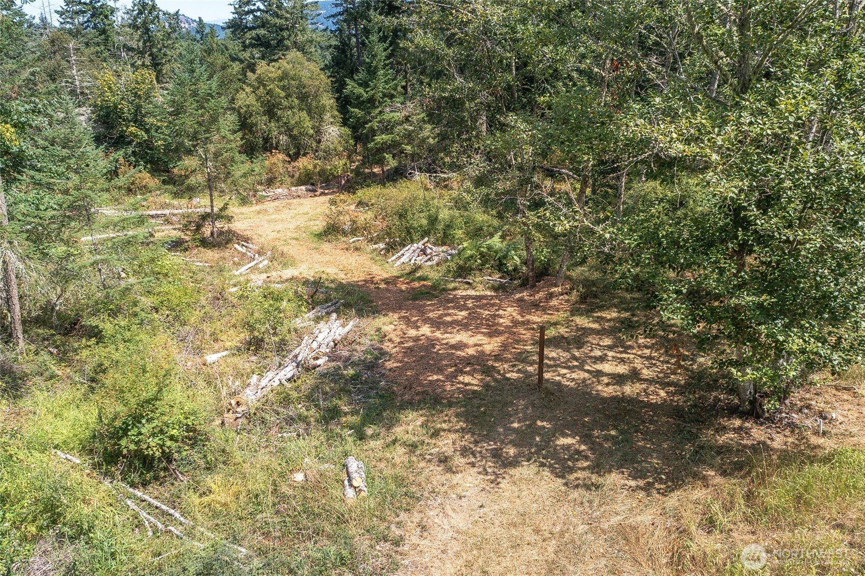 -lot B Lot B Spring Point Road Deer Harbor, WA 98243 - Photo 32 of 40 a view of a yard with a tree